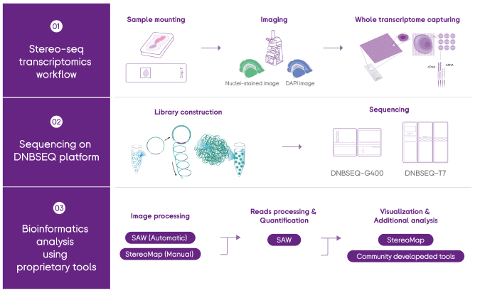 Tissue to Data End-to-end STOmics Solution